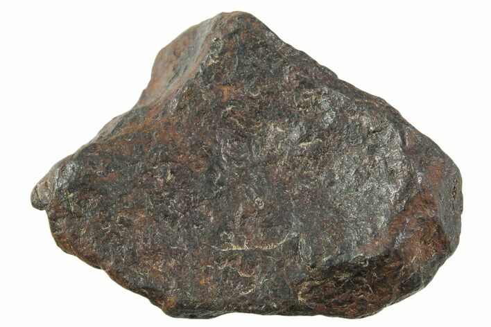 Canyon Diablo Iron Meteorite ( g) - Arizona #356107